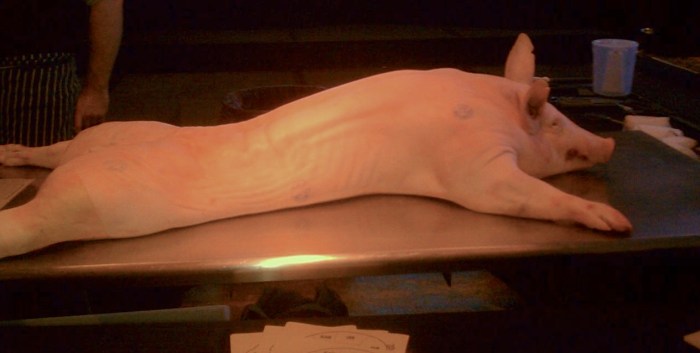 The star of the show.