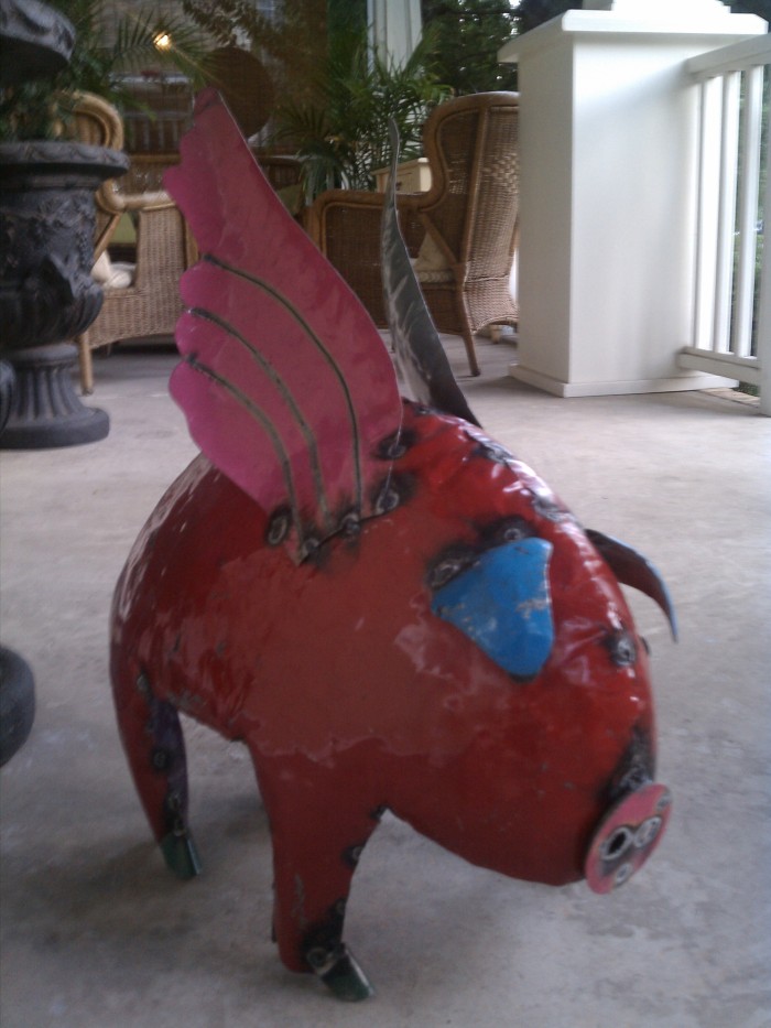 Some Pig, Garibaldi, my 8-month-a-versary present.