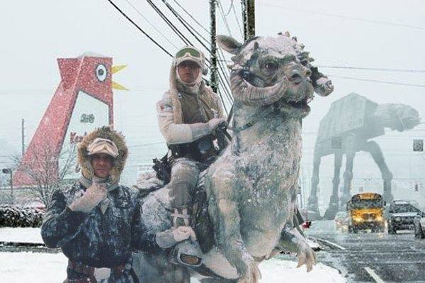 tauntaun