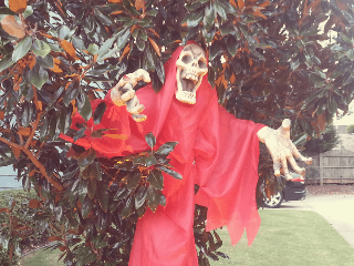 2014-11-01 15.30.59_resized