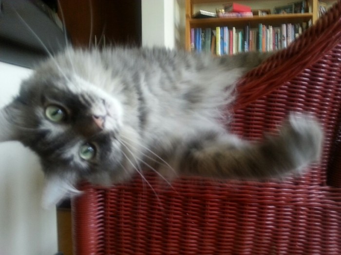 Brodie, the Detective Inspector.