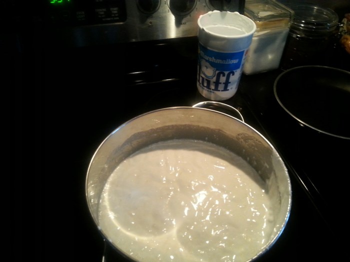 20141130_173344_resized