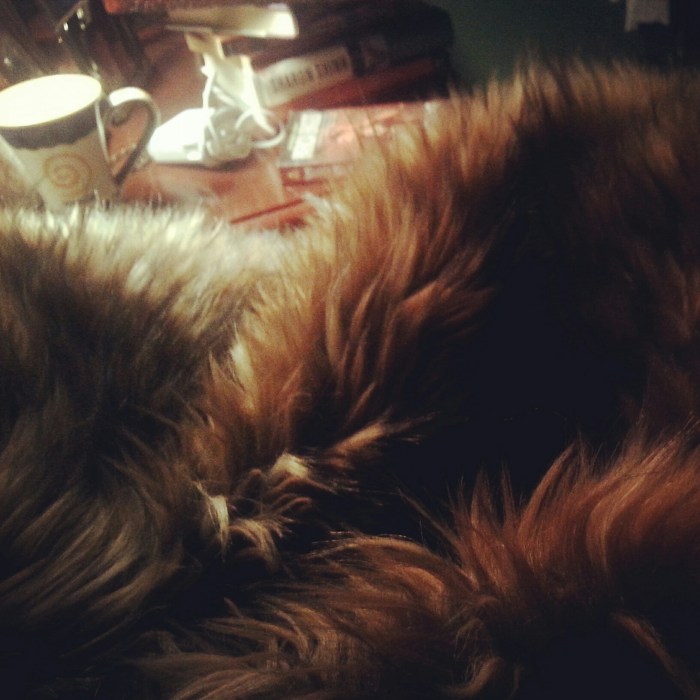 It was a Christmas present - a giant fake fur red tipped Siberian Zombie Fox, or some such silliness - lined with microsuede.  