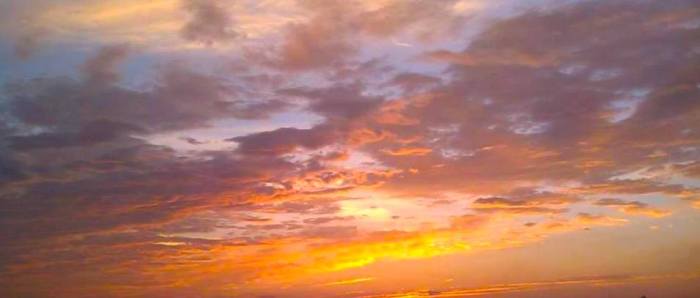 1383506_10151746806227561_1981130249_n copy