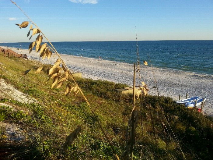 20141017_173237_resized