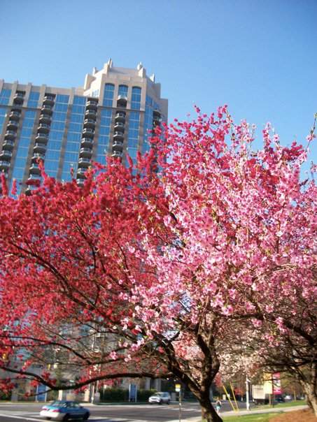 25805_389693477560_6205269_n