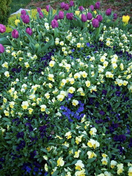 25805_389693657560_6314947_n