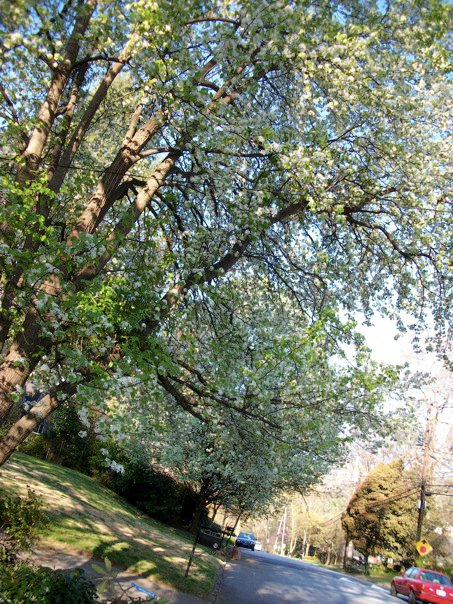 25805_389693692560_5433175_n