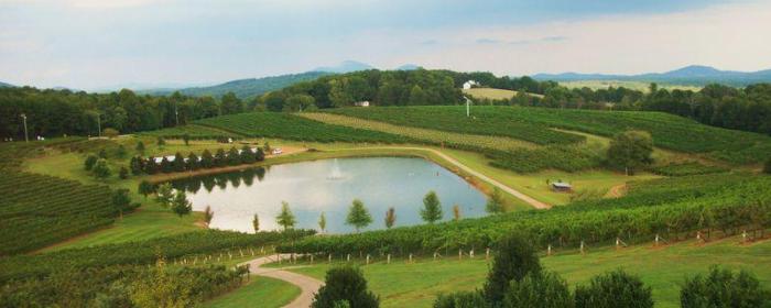 399020_10151097183882561_504866155_n