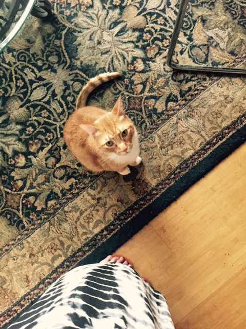 ::Ahem:: Pay attention to me. Now.