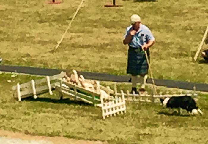 11221940_10153128784562561_2840470994887842365_n